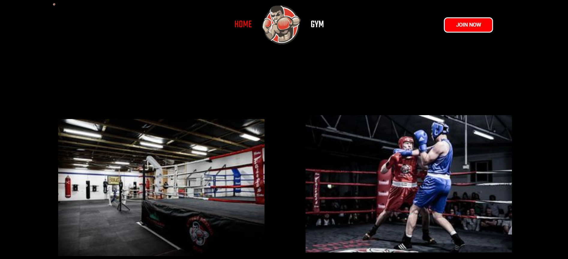 Dwyersboxing.com